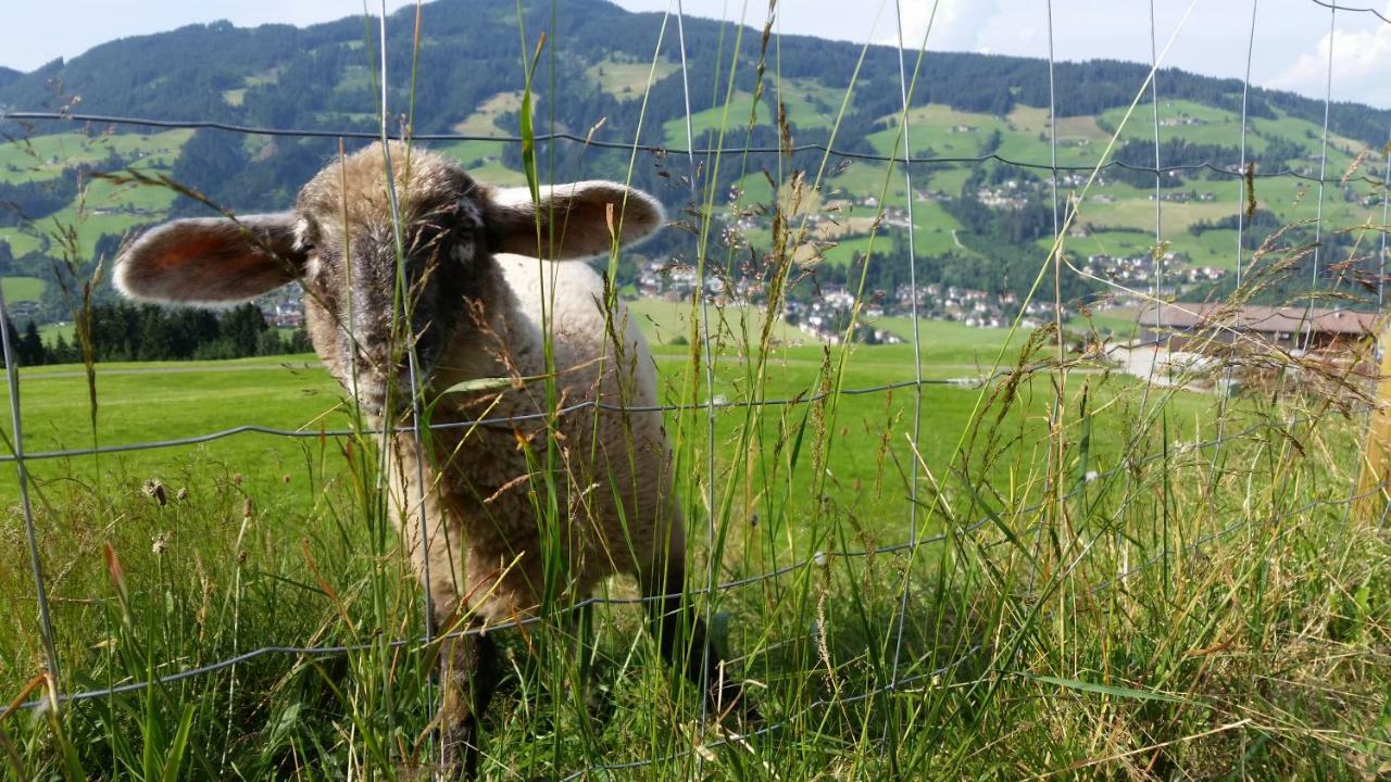 Gasthaus Obergaisberg キルヒベルク・イン・チロル エクステリア 写真